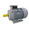 Электродвигатель  Y2-112M-6 2.2KW, 940RPM, 380V, IP55, F, AC, (type: B5 or B3)